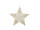 Stern voll ShinyWire gold Ø 30 cm