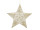 Stern voll ShinyWire gold Ø 60 cm