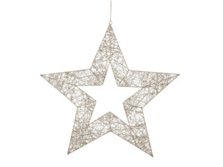 Stern Kontur ShinyWire champagner Ø 60 cm