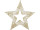 Stern Kontur ShinyWire gold Ø 100 cm