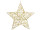 Stern Glitterstar gold Ø 40 cm