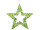 Stern Glitterstar Kontur grün Ø 50 cm