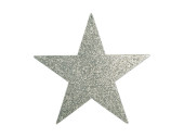 Glimmerstern silber 40cm 1Stk./Btl.