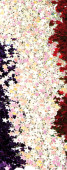 Streusternchen fein we./iris 5mm Kunststoff 80gr. Dose
