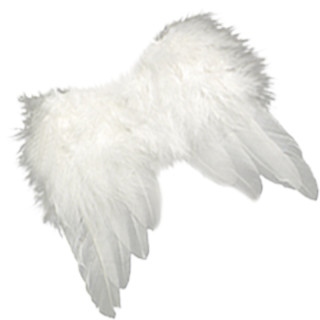 Engelsflügelpaar weiss Feder B 13 x H 12cm