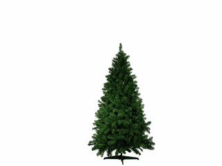 Edeltanne grün 90cm Ø 73cm schwer entfl., PVC-Ständer