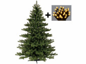 Sparset Edeltanne 90cm/ LED 50 LEDs warmweiss