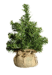 Tannenbäumchen grün 30cm hoch im Jutesack Ø 24cm, 29 Spitzen