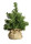 Tannenbäumchen grün 30cm hoch im Jutesack Ø 24cm, 29 Spitzen