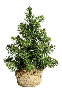 Tannenbäumchen grün 40cm hoch im Jutesack Ø 26cm, 29 Spitzen
