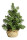 Tannenbäumchen grün 40cm hoch im Jutesack Ø 26cm, 29 Spitzen
