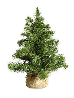 Tannenbäumchen grün 50cm hoch im Jutesack Ø 40cm, 53 Spitzen