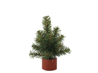 Tannenbäumchen mini H 15cm Ø 11cm, 23 Tips, Holzfuss