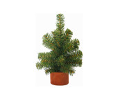 Tannenbäumchen mini H 23cm Ø 14cm, 32 Tips,...