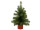 Tannenbäumchen mini H 30cm Ø 18cm, 35 Tips, Holzfuss