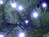 Boa-Lichterkette 200 LEDs kaltweiss 24V, koppelbar, Kabel grün Länge 200cm, outdoor IP44