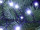 Boa-Lichterkette 200 LEDs kaltweiss 24V, koppelbar, Kabel grün Länge 200cm, outdoor IP44