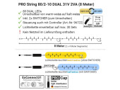 PRO Stringlight Dual 2x4m ExConnect31, outdoor IP44, 31V 2VA, 2 x 40 LEDs, inklusive 2 Switcher, ohne Anschlusskabel