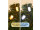 PRO Stringlight Dual 2x6m ExConnect31, outdoor IP44, 31V 2VA, 2 x 40 LEDs, inklusive 2 Switcher, ohne Anschlusskabel
