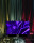Shiny fabric Avenue fuchsia w 112cm, black underside, black border approx. 2cm