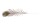 plume de paon 110 - 120cm