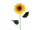 sunflower with stem 90cm