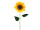 sunflower with stem 120cm