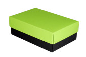 Colour Box M Oberteil hellgrün, 170 x 110 x 60mm