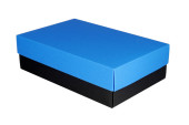 Colour Box L Oberteil hellblau, 266 x 172 x 78mm
