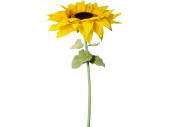 Sonnenblume "Giant" XL 130cm hoch