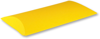 Colour Case M gelb 230 x 160 x 40mm