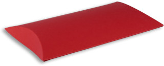 Colour Case M rot 230 x 160 x 40mm
