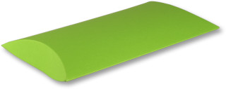 Colour Case M hellgrün 230 x 160 x 40mm