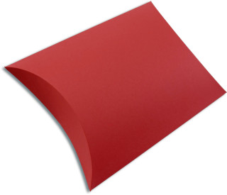 Colour Case L rot 300 x 300 x 90mm