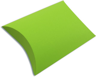Colour Case L hellgrün 300 x 300 x 90mm