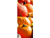 Textilbanner "Kürbisse orange" 75 x 180cm