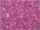 Glasnuggets fuchsia/pink 2 - 4mm 675ml/830gr./ Dose