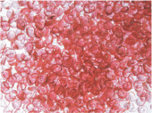 Crystalpearls dunkelrosa 190ml/Dose ca.130g  3 - 6mm