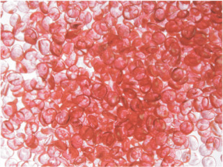 Crystalpearls rot Ø 3 - 6mm, 90g, 155ml