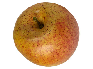 pomme "natural" Ø 8cm jaune/rouge