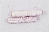 Salami klein weiss im Netz Ø 5 x 25cm