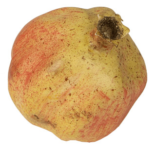 Granatapfel natural gelb-or. 8 x 10cm
