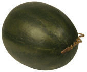 Wassermelone natural Ø 20 x 27cm dunkelgrün