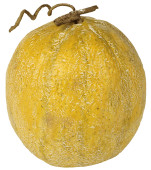 Honigmelone natural Ø 14 x L 16cm