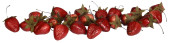 Erdbeeren Jumbo Natural rot Ø 3,5 x L 4,5cm 22...