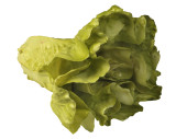 Salatkopf natural hellgrün Ø 20 x 15cm