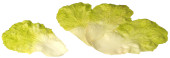 Salatblätter natural 4er Set hellgrün, 14 x 24cm