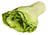 Salatkopf natural grün lang geschlossen, Ø 10...