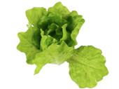 Salat Herz natural grün Ø 14 x 14cm