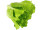 Salat Herz natural grün Ø 14 x 14cm